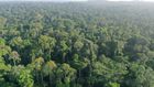 Le parc national du N'Taï