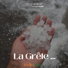 Quand la grêle s’invite à Odienné : entre étonnement et festivités