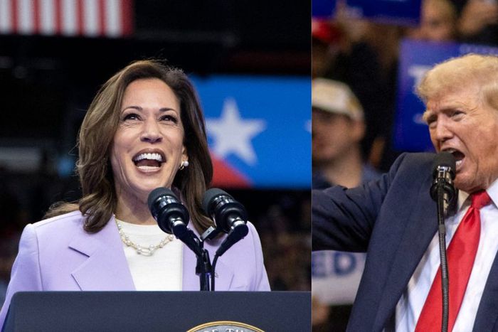 Kamala Harris and Donald Trump.RONDA CHURCHILL/AFP via Getty Images. NATALIE BEHRING/AFP via Getty Images.