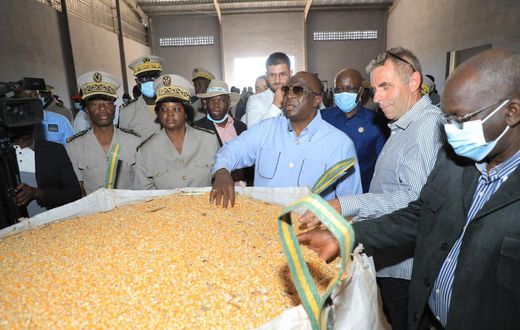 La Côte d’Ivoire investit dans un complexe agro-industriel à Niakaramandougou à hauteur de 6,23 milliards de FCFA