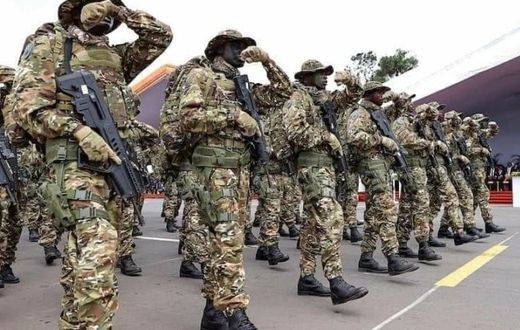 Top 10 des pays africains ayant la plus forte puissance militaire en 2025