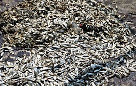 Pollution de la rivière Niounourou à Niambézaria dans la ville de Lakota