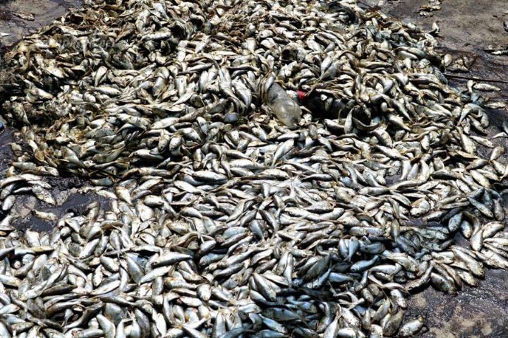 Pollution de la rivière Niounourou à Niambézaria dans la ville de Lakota