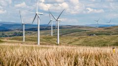 Transition verte : La Côte d’Ivoire lance un fonds de 500 Millions de dollars à la COP 29