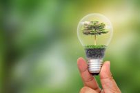 Transition verte : La Côte d’Ivoire lance un fonds de 500 Millions de dollars à la COP 29