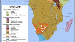 Carte d'Afrique avec quelques langues parlés sur le continent
