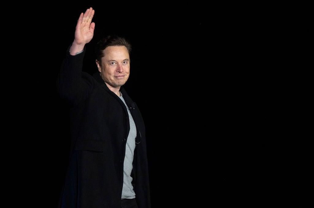 Elon Musk Est Le Nouveau Boss De Twitter Que Deviendra La Plateforme Sous Son R Gne Pulse