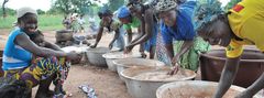Le Karité : l’or des savanes en danger, entre richesse économique et héritage menacé.