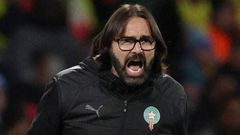 Qui est Reynald Pedros, le nouveau sélectionneur de l'équipe féminine de Côte d'Ivoire ?