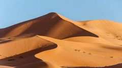 Le sahara