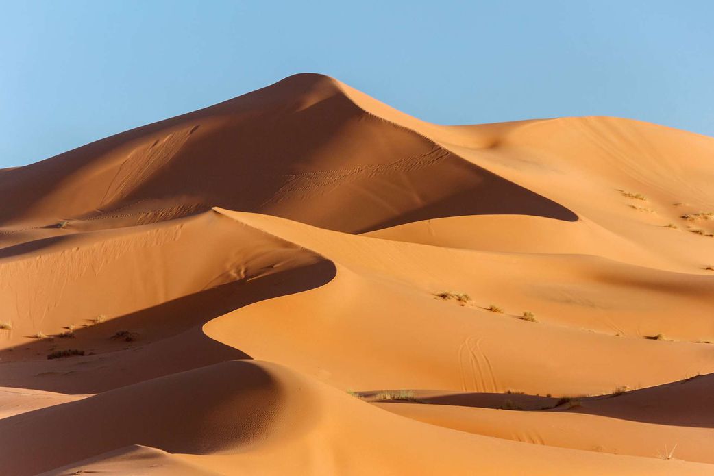 Le sahara