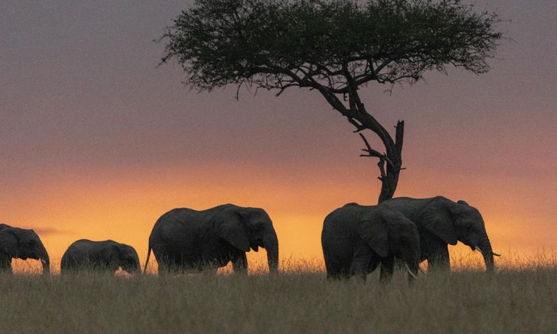 11 faits intéressants sur l'Afrique que vous devez absolument connaître
