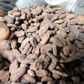 Coming to a chocolate bar near you: cacao bean pods, which are processed into cocoa