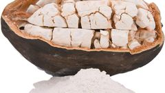 La cabosse de baobab, ces graines et ça poudre