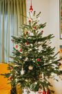 Culture Générale : Ce que vous ne savez (peut-être) pas sur Noël