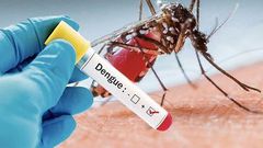 Santé : Comment différencier la dengue du paludisme ?