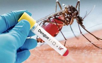 Santé : Comment différencier la dengue du paludisme ?