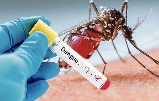 Santé : Comment différencier la dengue du paludisme ?
