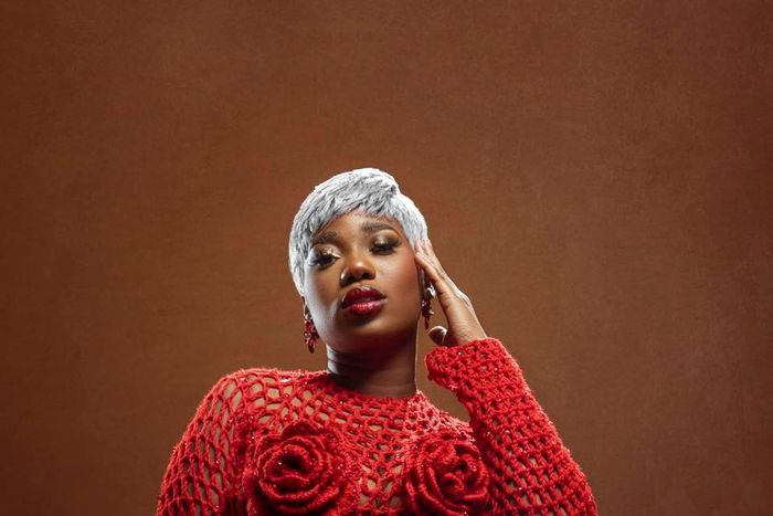 Milestone : Mula franchit le million de vues sur Youtube avec son titre en bété 'Nekpa Kpin'