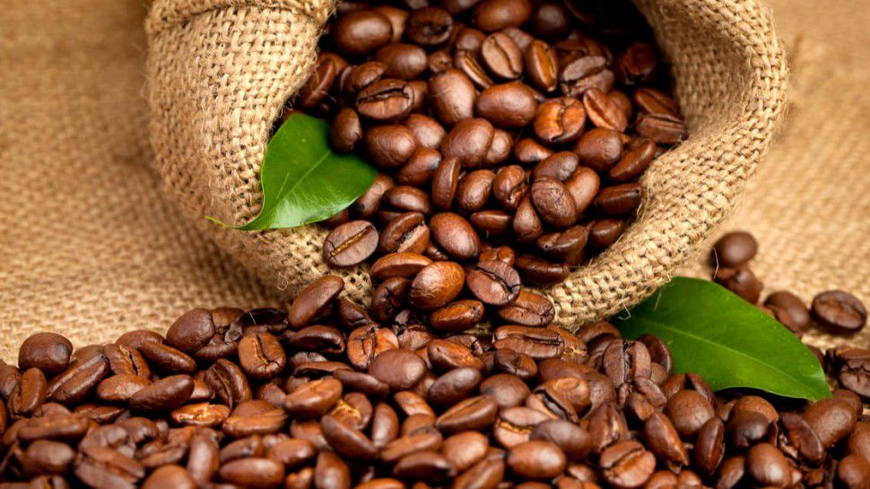 Hausse des prix du café : Voici ce qu'il faut savoir sur ce marché en tension/Le Guide Santé