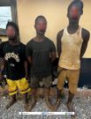 11 arrested for galamsey activities in Western Region