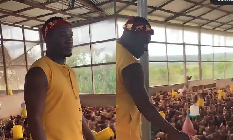 Asamoah Gyan ventures into poultry farming in style - Watch video