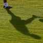 Former Newcastle youth team coach George Ormond has been charged with 29 counts of historical sexual offences, English prosecutors said
