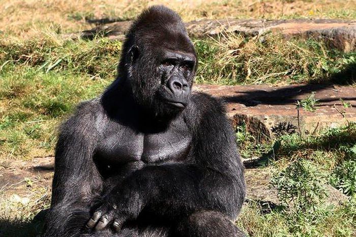 ___7211280___https:______static.pulse.com.gh___webservice___escenic___binary___7211280___2017___8___26___23___having-no-friends-makes-you-dick-2