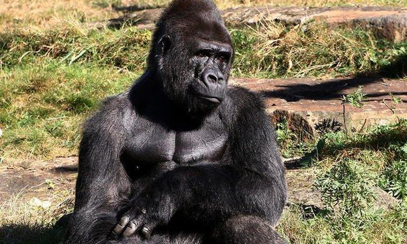 ___7211280___https:______static.pulse.com.gh___webservice___escenic___binary___7211280___2017___8___26___23___having-no-friends-makes-you-dick-2