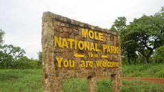 Mole National Park