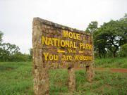 Mole National Park