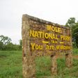 Mole National Park