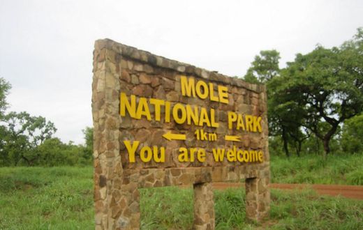 Mole National Park