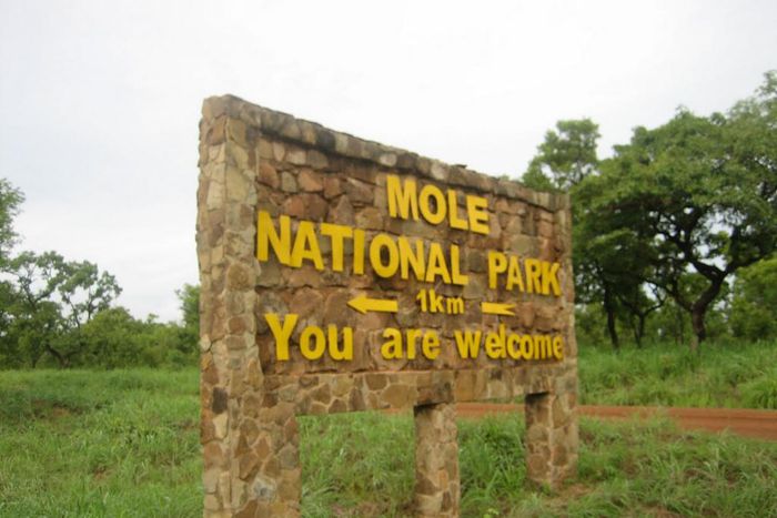 Mole National Park