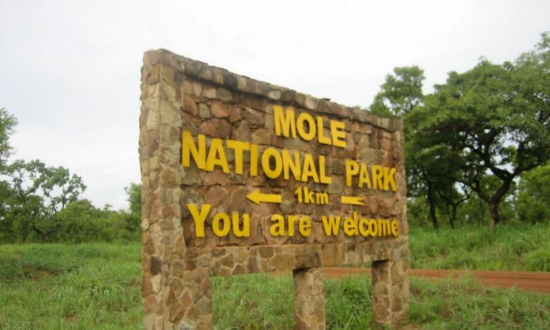 Mole National Park