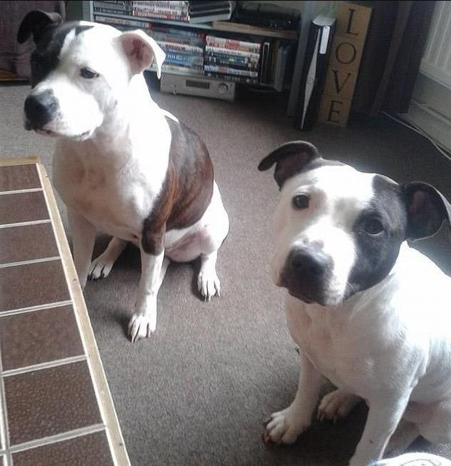 ___9202227___2018___12___15___7___5c1397e28a836