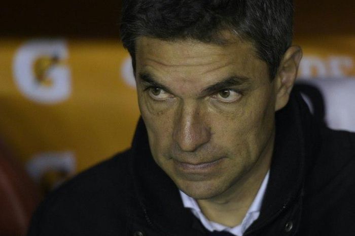Argentinian Mauricio Pellegrino was appointed manager after Southampton sacked Claude Puel, with club officials wanting a more attacking style of football than that played under the Frenchman