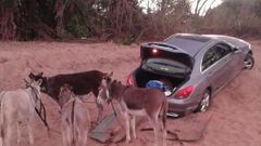 ___7091458___https:______static.pulse.com.gh___webservice___escenic___binary___7091458___2017___8___3___17___medium_2017-08-02-9e0b86aa0c