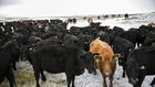 Abandoned America: The Hard Truths of Trying to 'Save' the Rural Economy