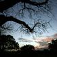 The Selous Game Reserve was designated a UNESCO World Heritage Site in 1982 as one of Africa's last remaining wildernesses. It was named after an Englishman, Frederick Selous, who died in 1917 while fighting in World War I.