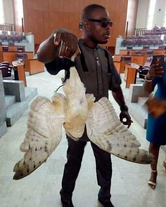 ___9156988___2018___12___1___13___986B7E81-3BC6-445F-819E-51C69A286B4D