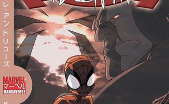 Standard-Issue Spidey and His Many Iterations