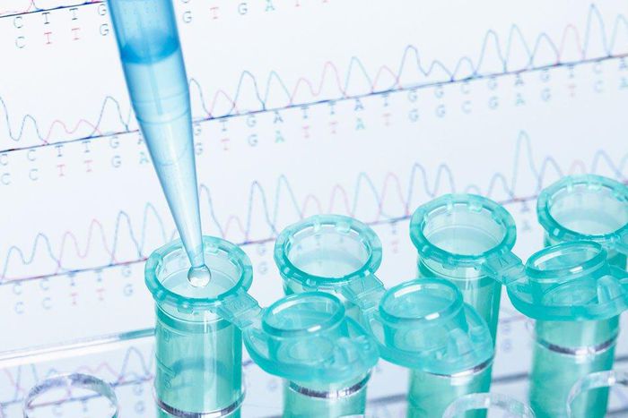 DNA testing for weight loss