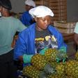Cutting up your pineapple just got easier.