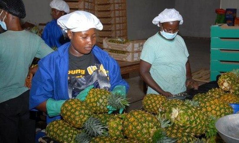 Cutting up your pineapple just got easier.