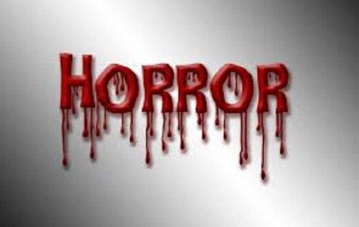 ___9135537___2018___11___24___19___horror