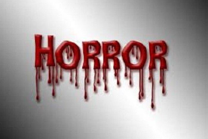 ___9135537___2018___11___24___19___horror