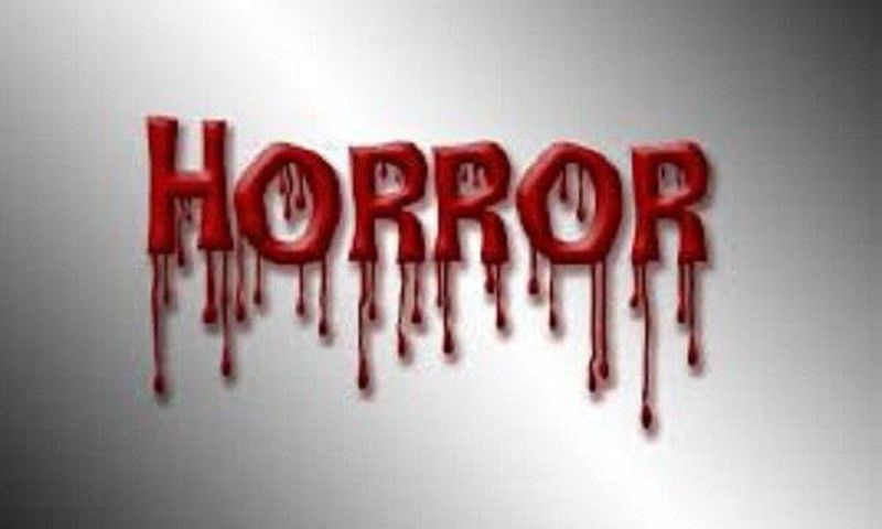 ___9135537___2018___11___24___19___horror