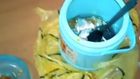 Exploded food flask