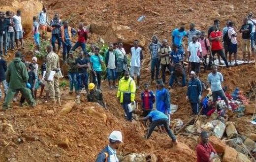 ___7169372___https:______static.pulse.com.gh___webservice___escenic___binary___7169372___2017___8___18___17___Sierra-Leone-mudslides-620x330